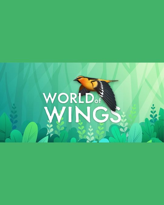 World of Wings
